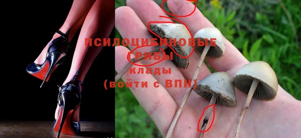 марихуана Гусиноозёрск
