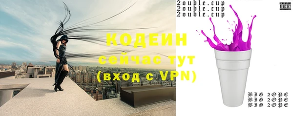 ПСИЛОЦИБИНОВЫЕ ГРИБЫ Горняк