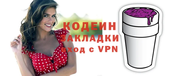 прущие грибы Гусь-Хрустальный