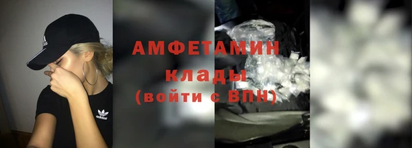 прущие грибы Гусь-Хрустальный