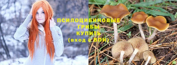марки lsd Горно-Алтайск