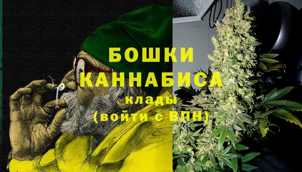 прущие грибы Гусь-Хрустальный