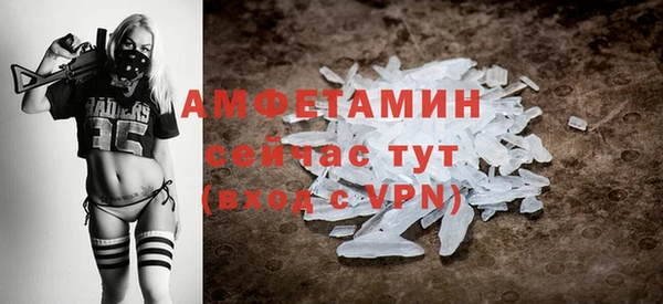 ПСИЛОЦИБИНОВЫЕ ГРИБЫ Горняк