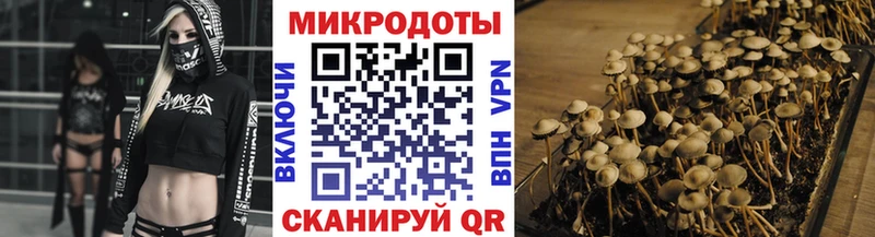 Псилоцибиновые грибы Psilocybe  Купить закладки  Ликино-Дулёво 